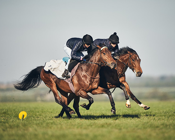 CAMBRIDGE-ROAD-GALLOPS-15TH-APRIL-DJ-_DJ94551-0574
