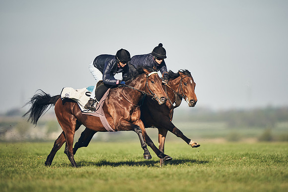 CAMBRIDGE-ROAD-GALLOPS-15TH-APRIL-DJ-_DJ94552-0575