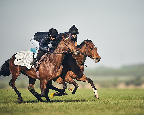 CAMBRIDGE-ROAD-GALLOPS-15TH-APRIL-DJ-_DJ94555-0578
