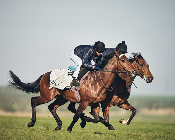 CAMBRIDGE-ROAD-GALLOPS-15TH-APRIL-DJ-_DJ94559-0582