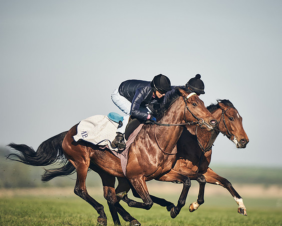CAMBRIDGE-ROAD-GALLOPS-15TH-APRIL-DJ-_DJ94560-0583