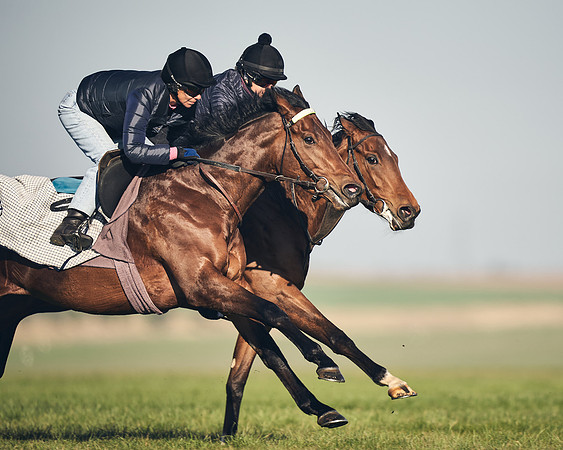 CAMBRIDGE-ROAD-GALLOPS-15TH-APRIL-DJ-_DJ94562-0585