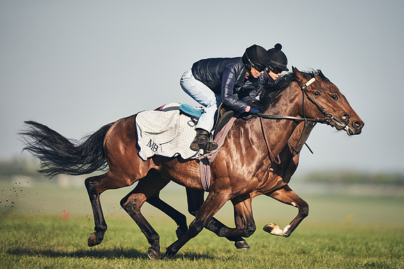 CAMBRIDGE-ROAD-GALLOPS-15TH-APRIL-DJ-_DJ94569-0592