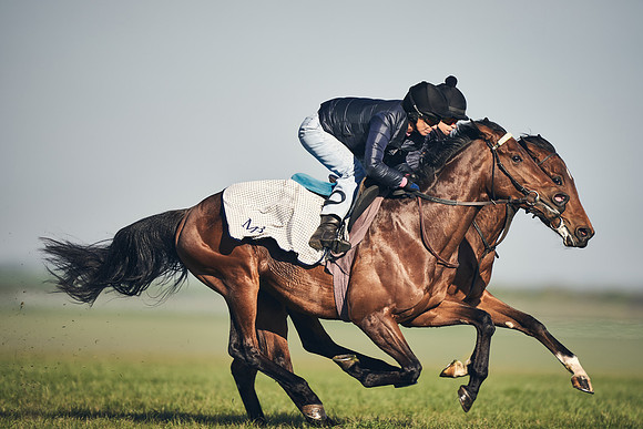 CAMBRIDGE-ROAD-GALLOPS-15TH-APRIL-DJ-_DJ94570-0593