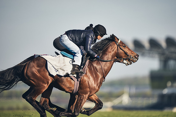 CAMBRIDGE-ROAD-GALLOPS-15TH-APRIL-DJ-_DJ94579-0602