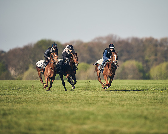 CAMBRIDGE-ROAD-GALLOPS-15TH-APRIL-DJ-_DJ94583-0606