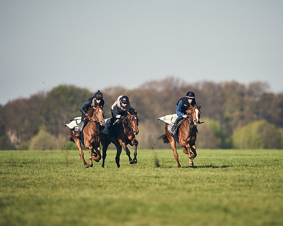CAMBRIDGE-ROAD-GALLOPS-15TH-APRIL-DJ-_DJ94584-0607