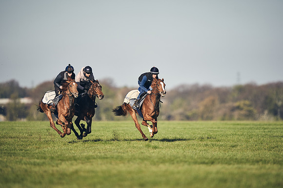 CAMBRIDGE-ROAD-GALLOPS-15TH-APRIL-DJ-_DJ94589-0612