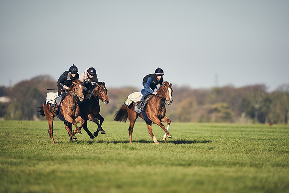 CAMBRIDGE-ROAD-GALLOPS-15TH-APRIL-DJ-_DJ94590-0613