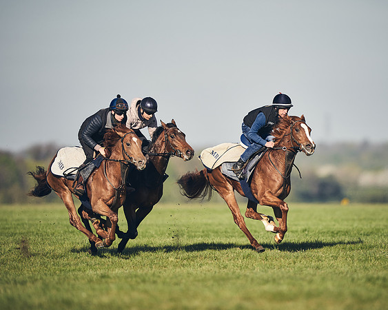 CAMBRIDGE-ROAD-GALLOPS-15TH-APRIL-DJ-_DJ94591-0614
