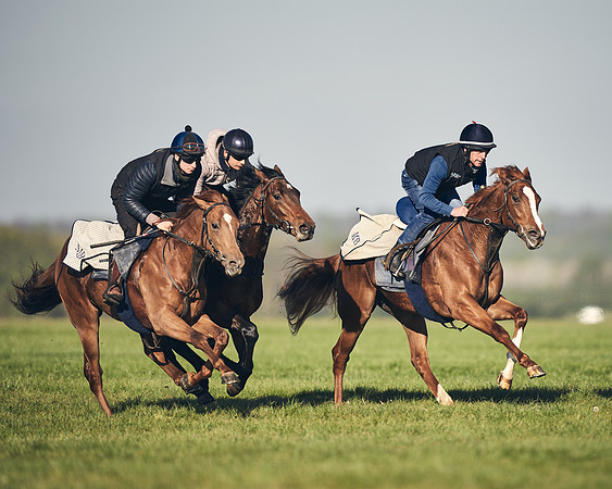 CAMBRIDGE-ROAD-GALLOPS-15TH-APRIL-DJ-_DJ94592-0615