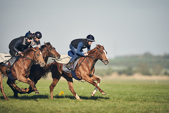 CAMBRIDGE-ROAD-GALLOPS-15TH-APRIL-DJ-_DJ94596-0619