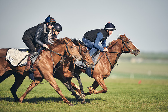 CAMBRIDGE-ROAD-GALLOPS-15TH-APRIL-DJ-_DJ94603-0626