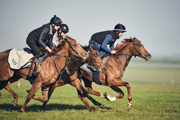 CAMBRIDGE-ROAD-GALLOPS-15TH-APRIL-DJ-_DJ94604-0627