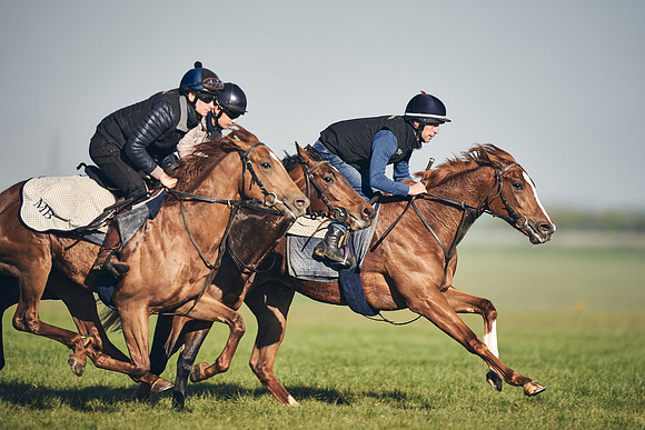CAMBRIDGE-ROAD-GALLOPS-15TH-APRIL-DJ-_DJ94605-0628
