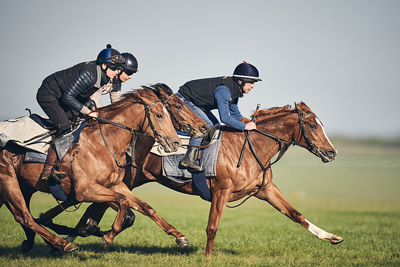 CAMBRIDGE-ROAD-GALLOPS-15TH-APRIL-DJ-_DJ94606-0629