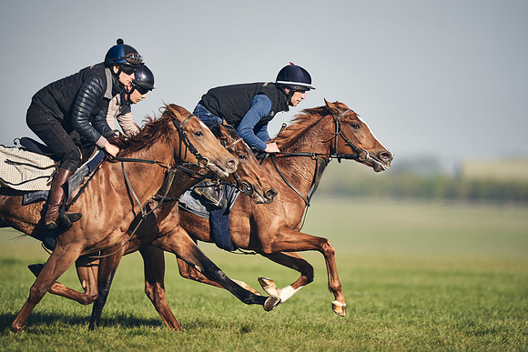 CAMBRIDGE-ROAD-GALLOPS-15TH-APRIL-DJ-_DJ94609-0632