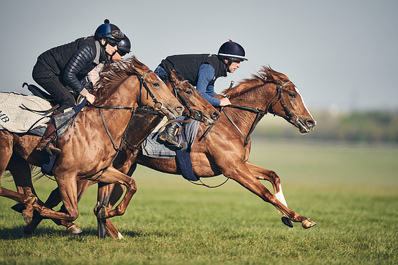 CAMBRIDGE-ROAD-GALLOPS-15TH-APRIL-DJ-_DJ94610-0633