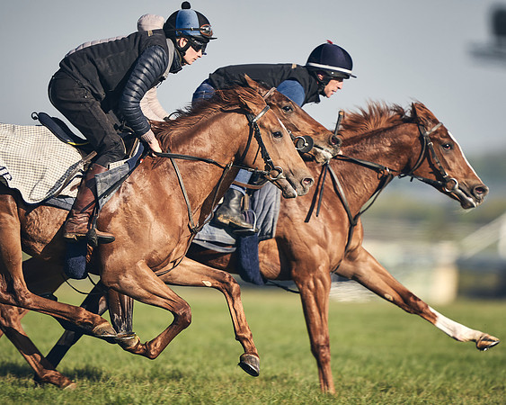CAMBRIDGE-ROAD-GALLOPS-15TH-APRIL-DJ-_DJ94613-0636