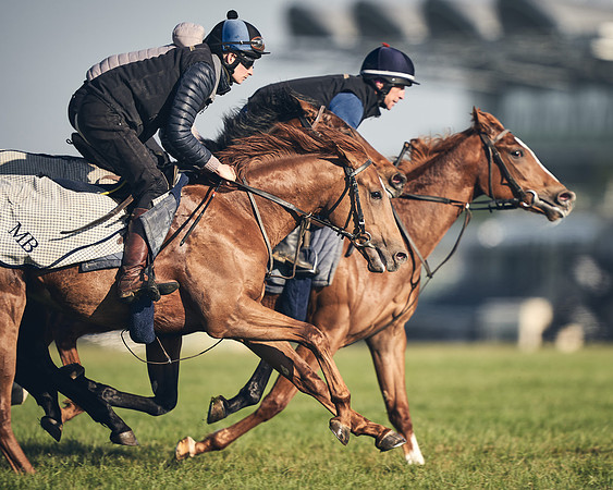 CAMBRIDGE-ROAD-GALLOPS-15TH-APRIL-DJ-_DJ94614-0637