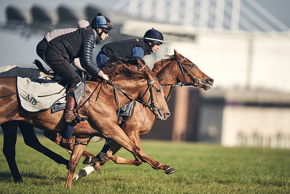 CAMBRIDGE-ROAD-GALLOPS-15TH-APRIL-DJ-_DJ94615-0638