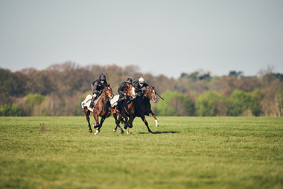 CAMBRIDGE-ROAD-GALLOPS-15TH-APRIL-DJ-_DJ94626-0649