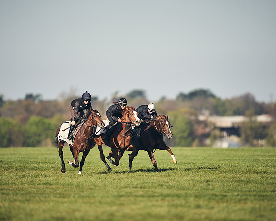 CAMBRIDGE-ROAD-GALLOPS-15TH-APRIL-DJ-_DJ94629-0652
