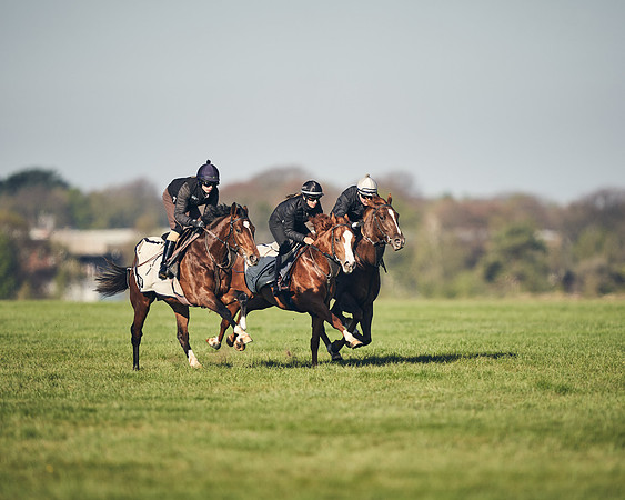 CAMBRIDGE-ROAD-GALLOPS-15TH-APRIL-DJ-_DJ94631-0654
