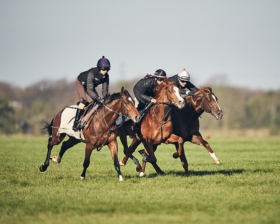 CAMBRIDGE-ROAD-GALLOPS-15TH-APRIL-DJ-_DJ94633-0656