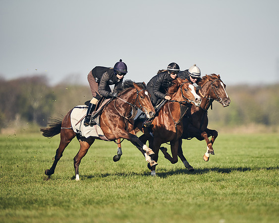 CAMBRIDGE-ROAD-GALLOPS-15TH-APRIL-DJ-_DJ94637-0660