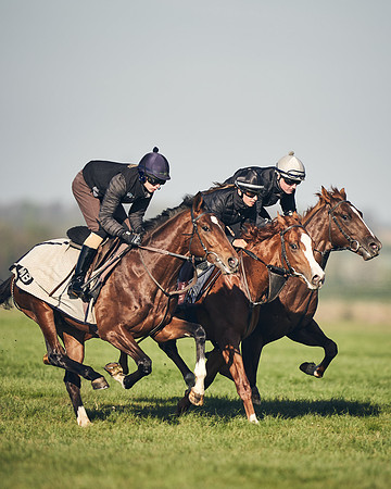 CAMBRIDGE-ROAD-GALLOPS-15TH-APRIL-DJ-_DJ94641-0664