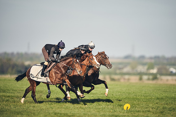 CAMBRIDGE-ROAD-GALLOPS-15TH-APRIL-DJ-_DJ94642-0665