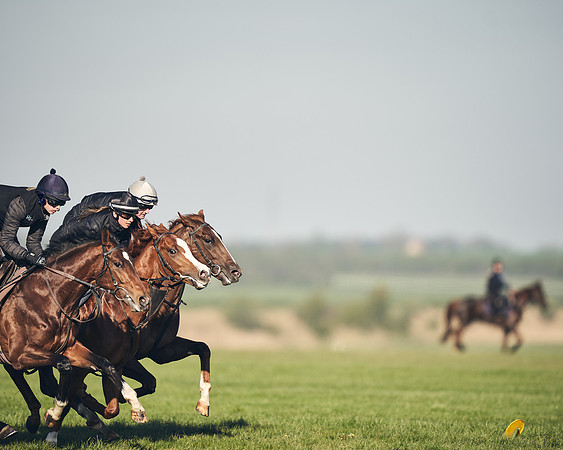 CAMBRIDGE-ROAD-GALLOPS-15TH-APRIL-DJ-_DJ94647-0670