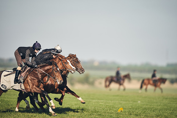 CAMBRIDGE-ROAD-GALLOPS-15TH-APRIL-DJ-_DJ94648-0671