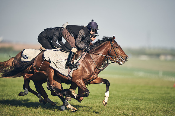 CAMBRIDGE-ROAD-GALLOPS-15TH-APRIL-DJ-_DJ94658-0681