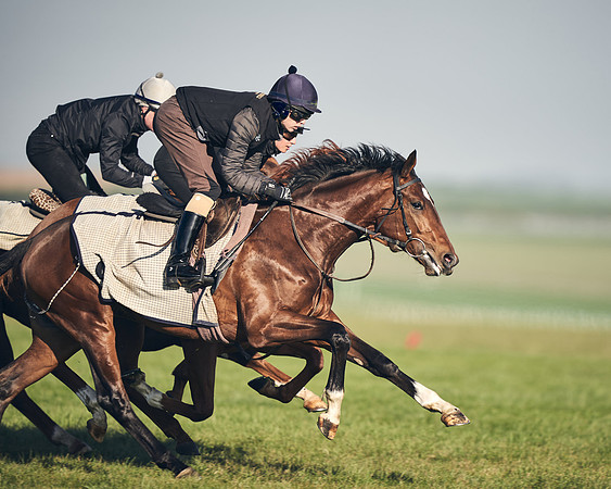 CAMBRIDGE-ROAD-GALLOPS-15TH-APRIL-DJ-_DJ94659-0682
