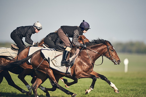 CAMBRIDGE-ROAD-GALLOPS-15TH-APRIL-DJ-_DJ94664-0687