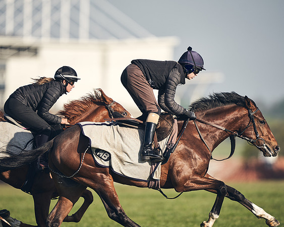 CAMBRIDGE-ROAD-GALLOPS-15TH-APRIL-DJ-_DJ94672-0695