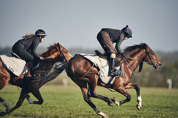 CAMBRIDGE-ROAD-GALLOPS-15TH-APRIL-DJ-_DJ94678-0701