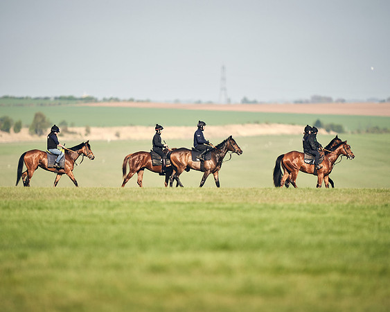 CAMBRIDGE-ROAD-GALLOPS-15TH-APRIL-DJ-_DJ94680-0703