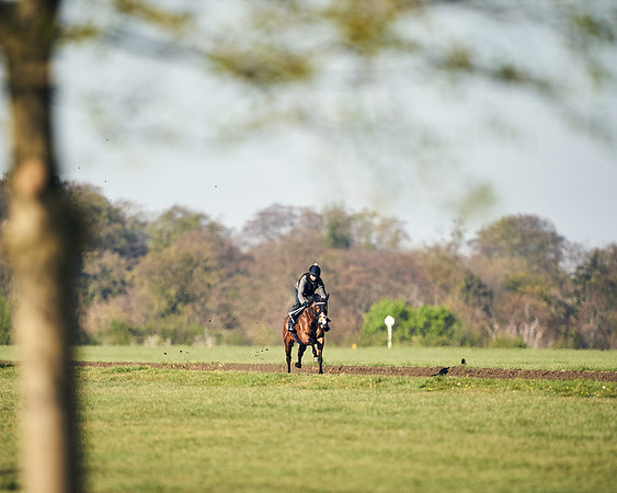 CAMBRIDGE-ROAD-GALLOPS-15TH-APRIL-DJ-_DJ94684-0707