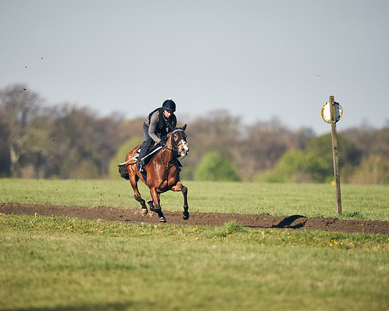 CAMBRIDGE-ROAD-GALLOPS-15TH-APRIL-DJ-_DJ94692-0715