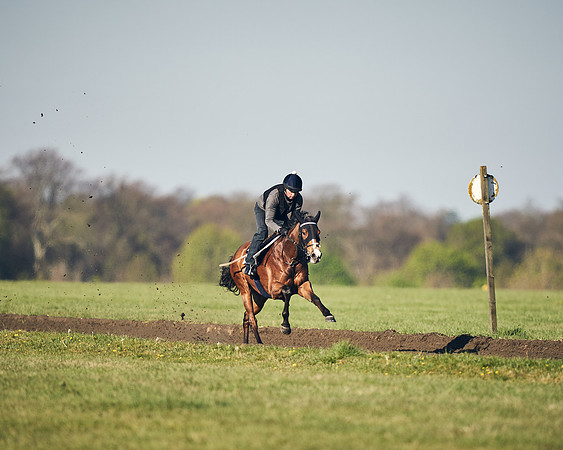 CAMBRIDGE-ROAD-GALLOPS-15TH-APRIL-DJ-_DJ94693-0716