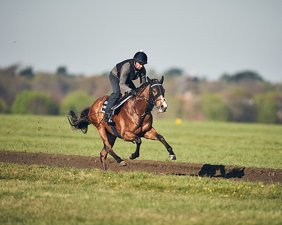 CAMBRIDGE-ROAD-GALLOPS-15TH-APRIL-DJ-_DJ94694-0717