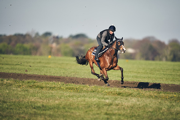 CAMBRIDGE-ROAD-GALLOPS-15TH-APRIL-DJ-_DJ94698-0721