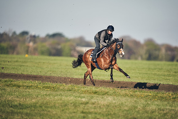 CAMBRIDGE-ROAD-GALLOPS-15TH-APRIL-DJ-_DJ94699-0722