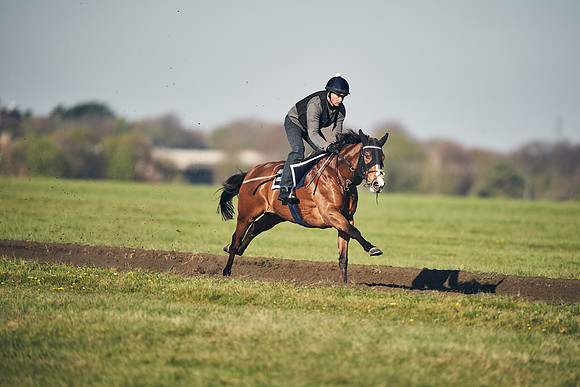 CAMBRIDGE-ROAD-GALLOPS-15TH-APRIL-DJ-_DJ94700-0723