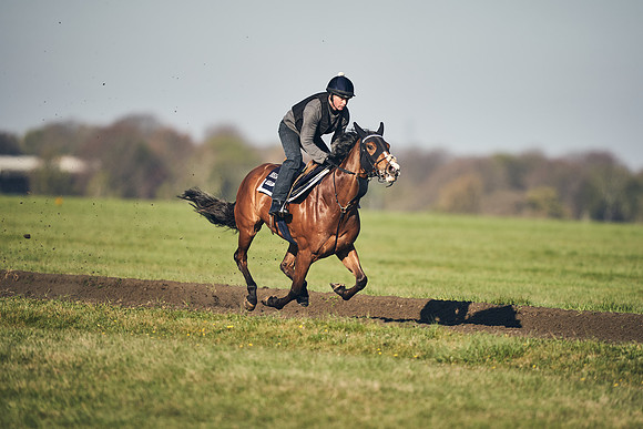 CAMBRIDGE-ROAD-GALLOPS-15TH-APRIL-DJ-_DJ94702-0725