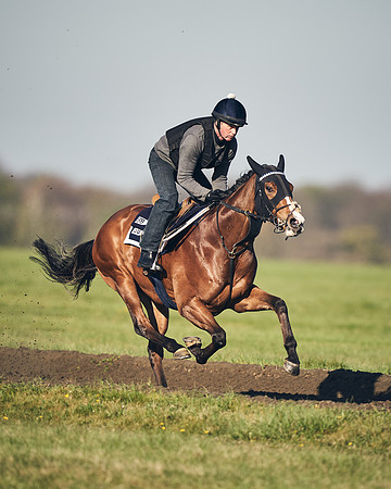 CAMBRIDGE-ROAD-GALLOPS-15TH-APRIL-DJ-_DJ94703-0726