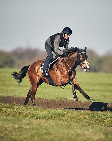 CAMBRIDGE-ROAD-GALLOPS-15TH-APRIL-DJ-_DJ94704-0727